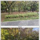 서구 조형벤치 티스토리