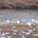 평화 - 금천구 | 평화