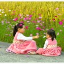 황금물결 이미지