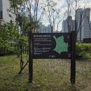 중일초교 횡단보도(중일초) 이미지