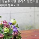 꽃비플라워 이미지