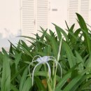 나트랑 자유여행(끝) - 나트랑 시내에서 여행 마무리 이미지