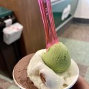 벨라독 네이버블로그