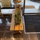 투어이스트 이미지