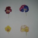 연필스케치(초급) 이미지