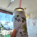 [경북/영덕] 영덕 애견동반 가능한 오션뷰카페 &#34;도화커피숍&#34; 다녀온 후기