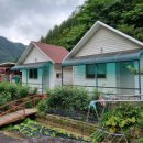 털보민박 이미지