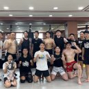 싸이코 핏불스 이미지