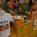귤샵 | 도두 해안도로 가볼만한 곳 기념품샵 후기 귤귤스토어