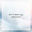 디테일라이프 이미지