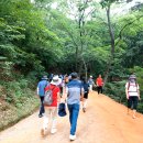 계족산황톳길 이미지