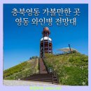 행복한과일나라 | 충북 영동 아이와 가볼만한곳 추천! 레인보우 힐링센터 야외네트놀이터 & 와인병 전망대 완전 정복