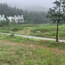 대관령 느린마을 이미지