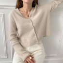 브리지데이 이미지