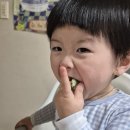 냉이전 먹는 애기 ㅎㅎ 이미지