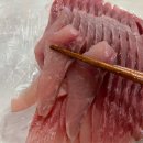 애막골 | 춘천 향어회 애막골횟집 포장후기