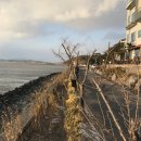 순천만 에코비치 캐슬 이미지