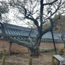 약수천 Daum카페