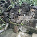 스테이 고집 이미지