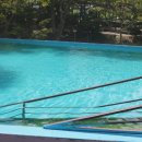 진악로 | 금산 아기랑 여름휴가 당일치기(수영장,계곡,평상대여)&#39;시냇가&#39;솔직후기