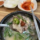 삼성역 순대국 맛집 진양재순대, 잡내 없이 감칠맛 터지는 국물맛!