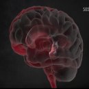 아벨메디칼 이미지