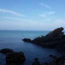 수산나농장 이미지