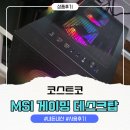 (주)아이게이밍소프트 | 코스트코 컴퓨터 MSI 게이밍 데스크탑 내돈내산 구매후기, 본체 성능