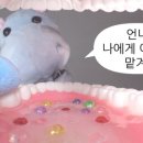 핑키쓰 네이버블로그
