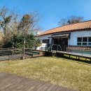 호텔 라벤더 제주 | 제주 '에코랜드' 테마파크 기차여행🚂 코스별 후기