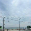 부산서핑 부산송정밤서프 체험서핑 1시간 초보자 후기