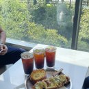 유림-1164 이미지