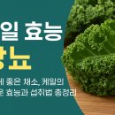 케일 - 양천구 공항대로 594 | 케일