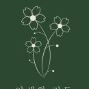 베로니카화원 이미지