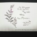 수채캘리그라피 이미지