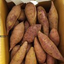 호동이 갈비 | 11월 주간일기1