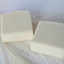 벨하이솝 | 강아지비누 추천 | 피부예민 단모 써본 후기 벨하이솝 자운베리솝 &amp; 강아지그릇세제