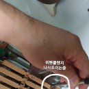 다인로얄팰리스배곧5차(배곧로얄팰리스5차) 이미지