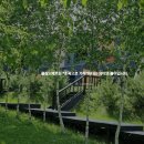 플랑드베르 풀빌라 이미지