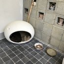 더샘;Garden 이미지