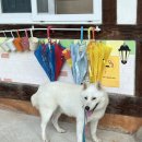 빌러비드 beloved | 감정의 격동(8월 30일 일기)