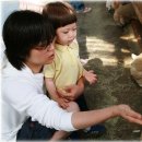 수민목장 이미지