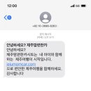 제주맘편한카시트 네이버블로그