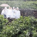 신효동-14 이미지