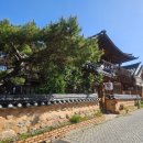 완산-54 | 여행 코스, 예산 공유(1)] 콜터커피 - 대보장 - 완산칠봉 꽃동산 - 청연루 - mon panier - 메르밀진미집