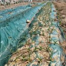 훈 농장 이미지