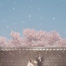 순수안산올리브점