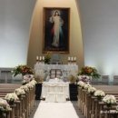 논현2동-7 이미지