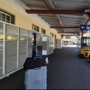 동신슈퍼 | [신혼여행] 루체른에서 그린델발트 가기, 튠호수 유람선🛳