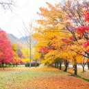 시인안마원 이미지